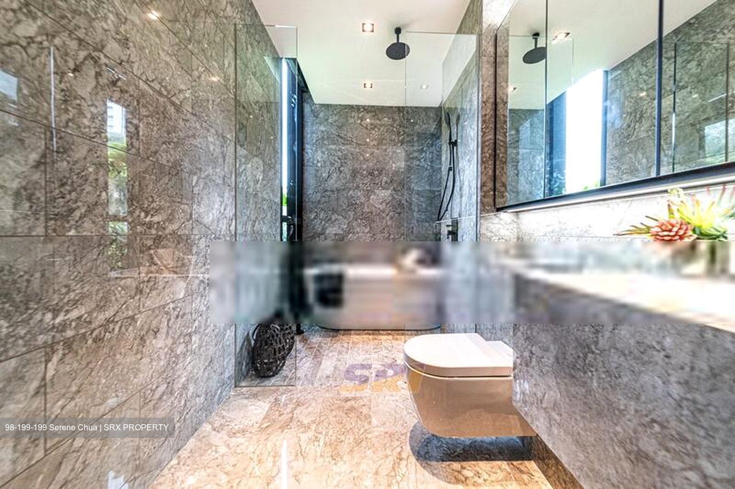 Jervois Privé (D10), Apartment #410422581